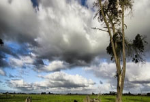 弗莱堡客场击败强敌，豪取三分大捷