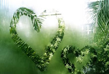 伯恩茅斯主场鏖战，英超胜败皆成名