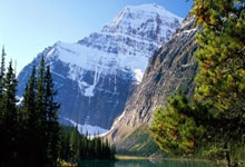 马刺关键时刻逆袭，怀特携手助攻